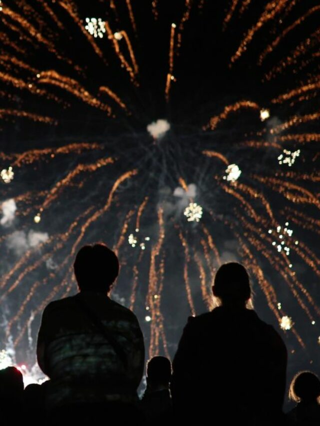 Quer evitar o barulho de fogos de artifício? Veja como!